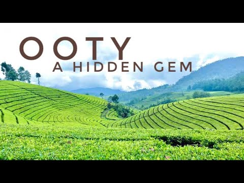 Top 10 Tourist Places to Visit in Ooty, Tamil Nadu