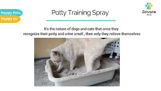 How to Use Potty Training Spray by Zoivane Pets (Latest)