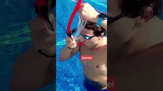 Which Swim Equipment Is Your Favorite?