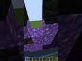 BLUE SMURF CAT Minecraft Build Loop Shorts