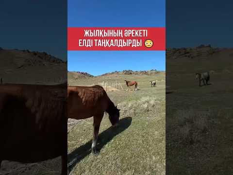 27 апреля 2026 г.