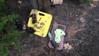 Smiling Black Lips Cover