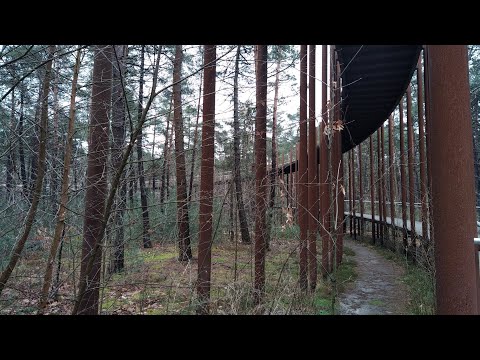 Awesome bike bridges in Limburg (BE)