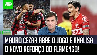 ‘O Flamengo deve anunciar a contratação do…’; Mauro Cezar abre o jogo
