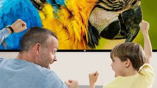 🎬 Turn ANY Space Into a Movie Theater – 120” Portable Screen!