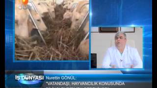 Gönül Veteriner Kliniği / OLAY TV - İŞ DÜNYASI PROGRAMI