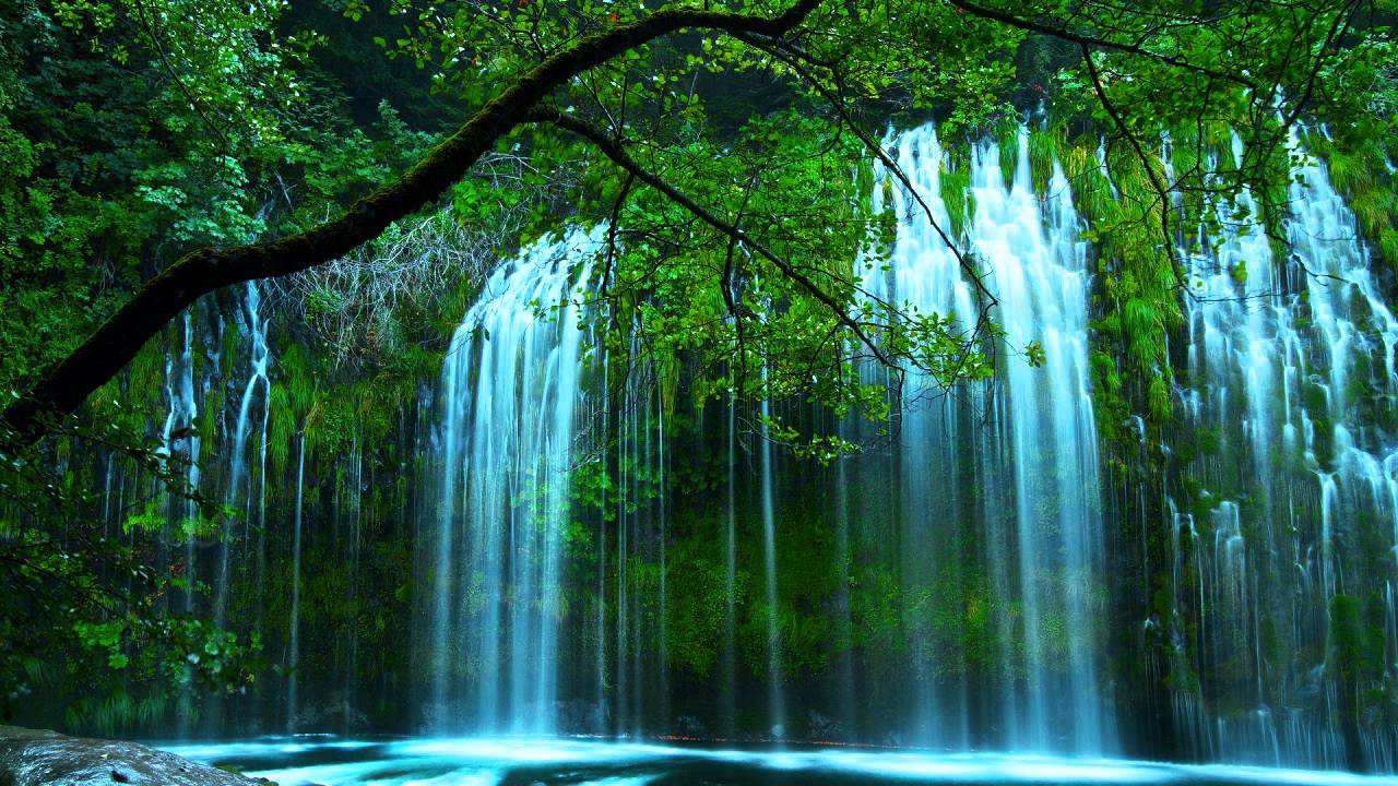 Ye Sach Hai Na Jhooth Hai Lyrics  | Aurat Teri Yehi Kahani | Shoma Anand, Vikas Anand | Alka Yagnik, Suresh Wadkar | Anand Shrivastav, Milind Shrivastav