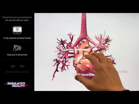 Heart in Simulated Reality