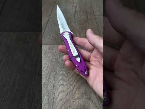 Kershaw Leek 1660 Assisted Knife