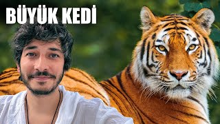 KAPLAN SEVDİM PHUKET ŞEHİR TURU - 5. Bölüm