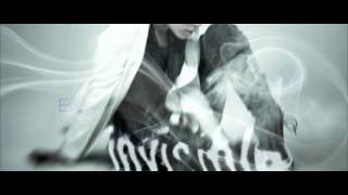 Skylar Grey - Invisible Official Lyrics Video [New Song 2011]