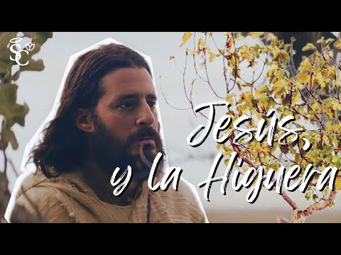JESÚS Y LA HIGUERA | JUDAS HABLA CON JESÚS #TheChosen 