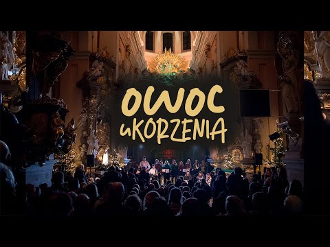 owoc uKORZENIA | Król wszechświatów | Mate.O/TU cover [live Miechów]