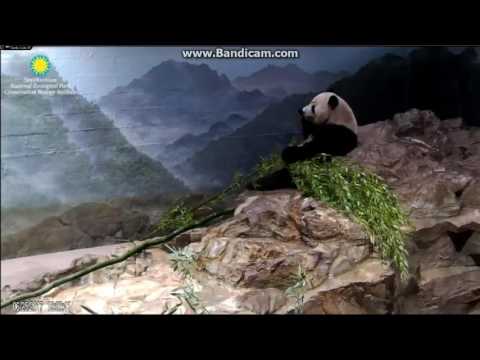 2017.06.25 Papa eating breakfast