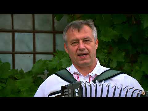 KOZLAŇÁCI - Když rozkvete bílá růža