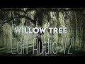 Willow Tree Mint Media Studio Edit Audio V2 (Taking Requests!) (Requested?)