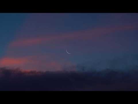 Chillstep | Sappheiros - Dusk