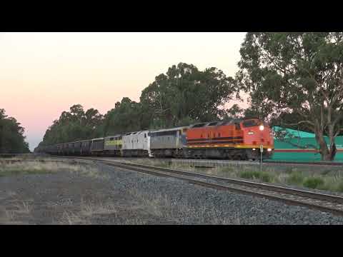 SSR Grain with CLF4 / S311 / CLP12 / GM27 & S303 south bound Euroa 9.3.2022