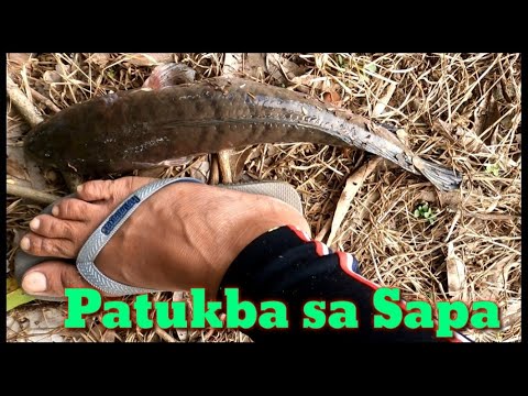 PATUKBA / JACKPOT ULIT