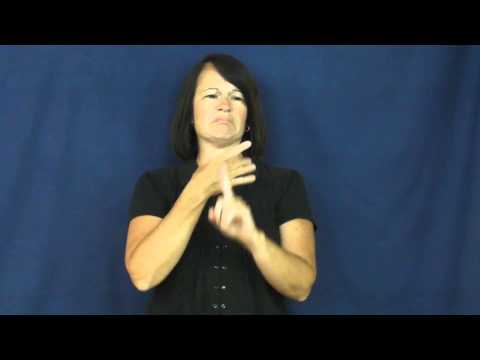 Race In Sign Language American Sign Language ASL Video Dictionary - racist