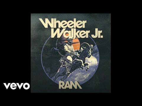 Wheeler Walker Jr. - Money 'N' Bitches