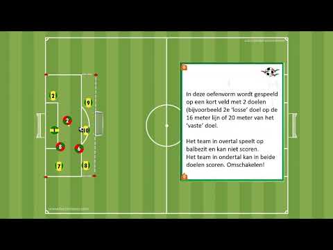 Zuidvogels video training   partijvorm 11