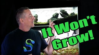 10G CLASSIC Iwagumi UPDATE | LANDEN Aquascape
