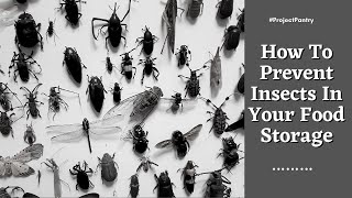 How To Prevent Insects In Your Food Storage