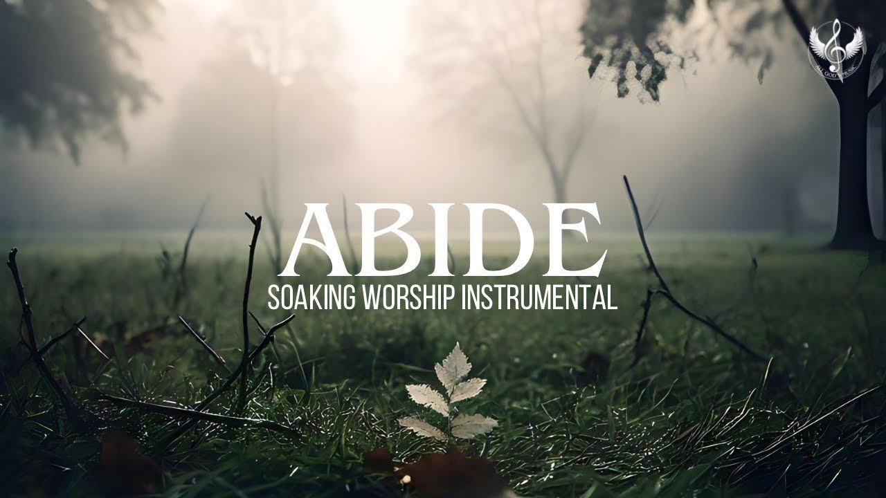 Abide - Soaking Worship Instrumental | Prayer and Devotional