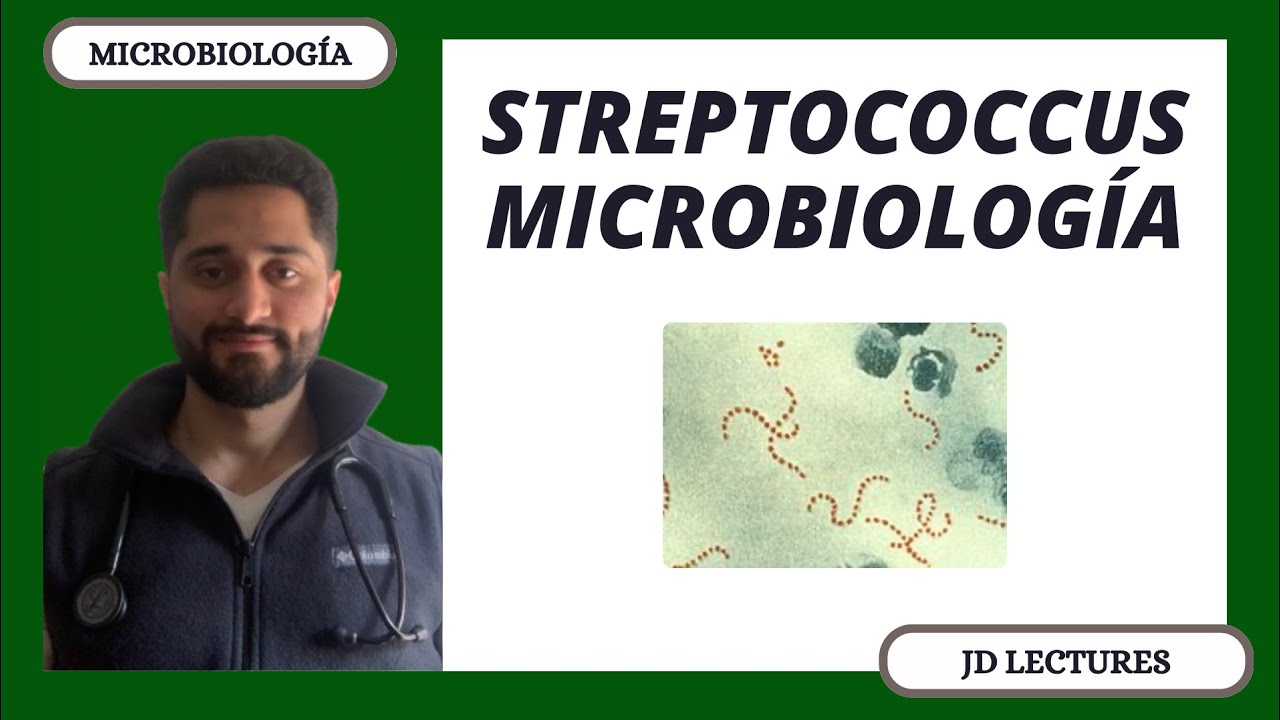 STREPTOCOCCUS (PYOGENES, AGALACTIAE, DYSGALACTIAE, VIRIDANS, PNEUMONIAE) | MICROBIOLOGÍA