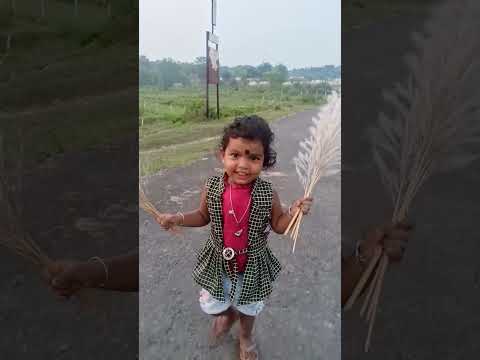 Dharmistha chaleche kas ful niye #littlegirlhairstyles