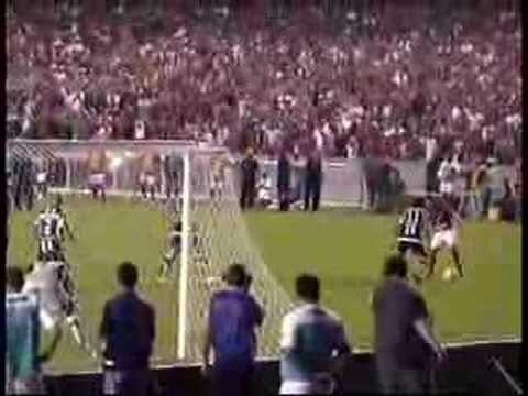 Flamengo 3 x 1 Botafogo - Bicampeão Carioca 2008 Clip
