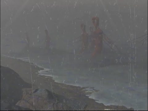 Vita Carnis - Necrotic Wound