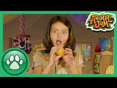 Wild Explorers - Squishy Egg