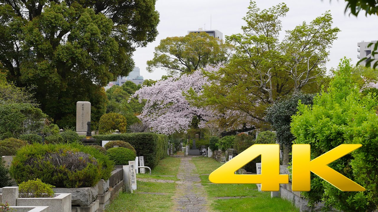 Tokyo Aoyama Cemetery