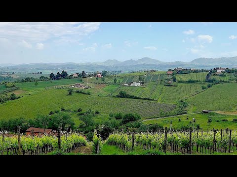 At Home in San Patrignano, Italy where craftsmanship saves lives