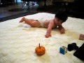 Tummy Time With Simon Elmo And A Pumpkin