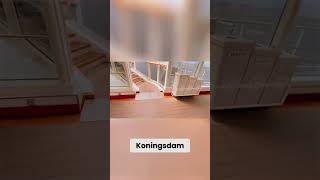 Holland America Koningsdam: Stunning Sea View Pool & Observation Deck! 🌊🏔️