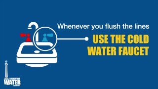 How to Flush Your Water Lines