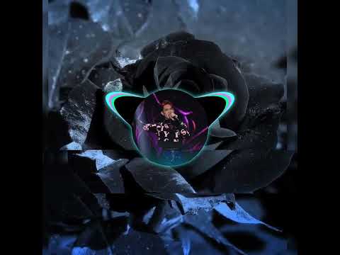 Hoa Hồng Gai... Y || Pháp Kiều || Rap Việt