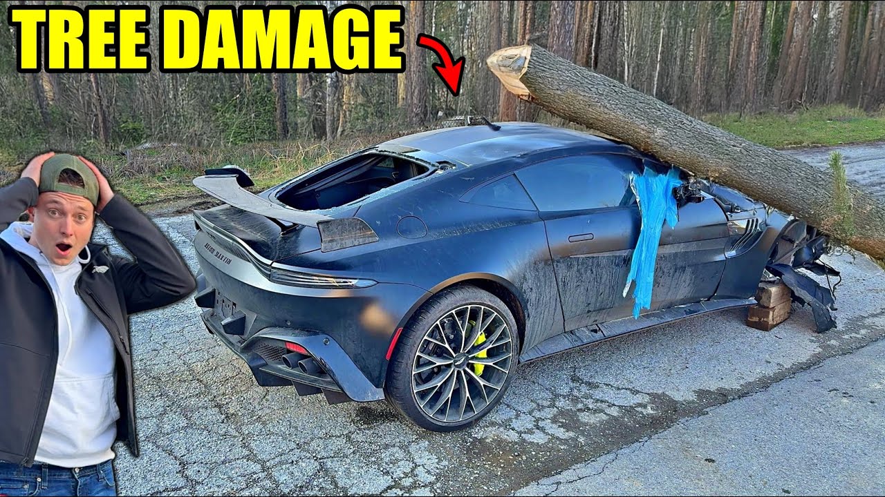 A Tree Fell on This Aston Martin. The Car Is a Mess, but These Guys ...
