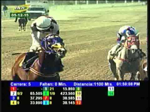 Resumen Sábado, 05 de Diciembre de 2015 - La Rinconada