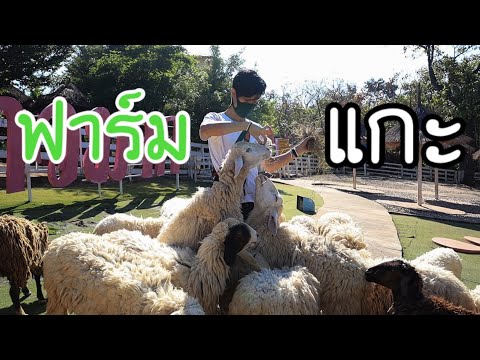 Hug Yu Sheep Farm