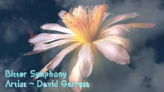 Bitter Sweet Symphony Song by David Garrett