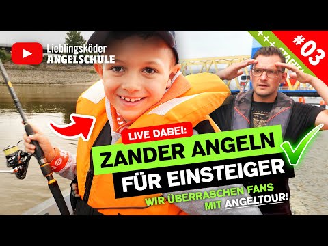 Endlich Zander! – Zanderangeln für Anfänger 🎣 ✅