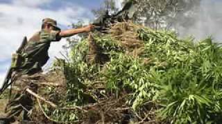 Godsmack - Sweet Leaf.flv