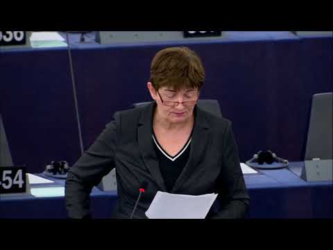MdEP Cornelia Ernst (DIE LINKE.) zu Facebook und Datenhandel