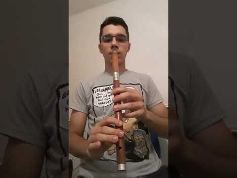 Arapsko kokonjeste - Frula