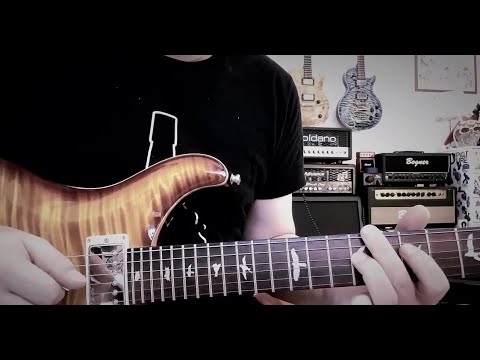 If you can't say no - Lenny Cravitz - Guitar Solo - PRS Private Stock Brazilian Neck