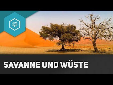 Savanna and Desert - The Tropics III - Climate Zones 4